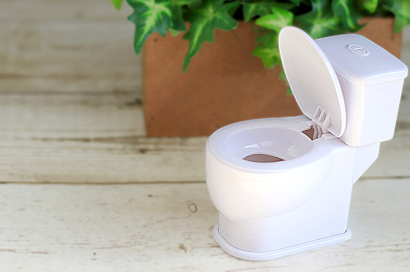 下痢の定義とメカニズム