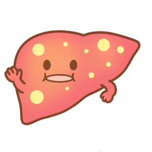 脂肪肝のイラスト